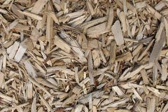 biomass boilers Smithaleigh